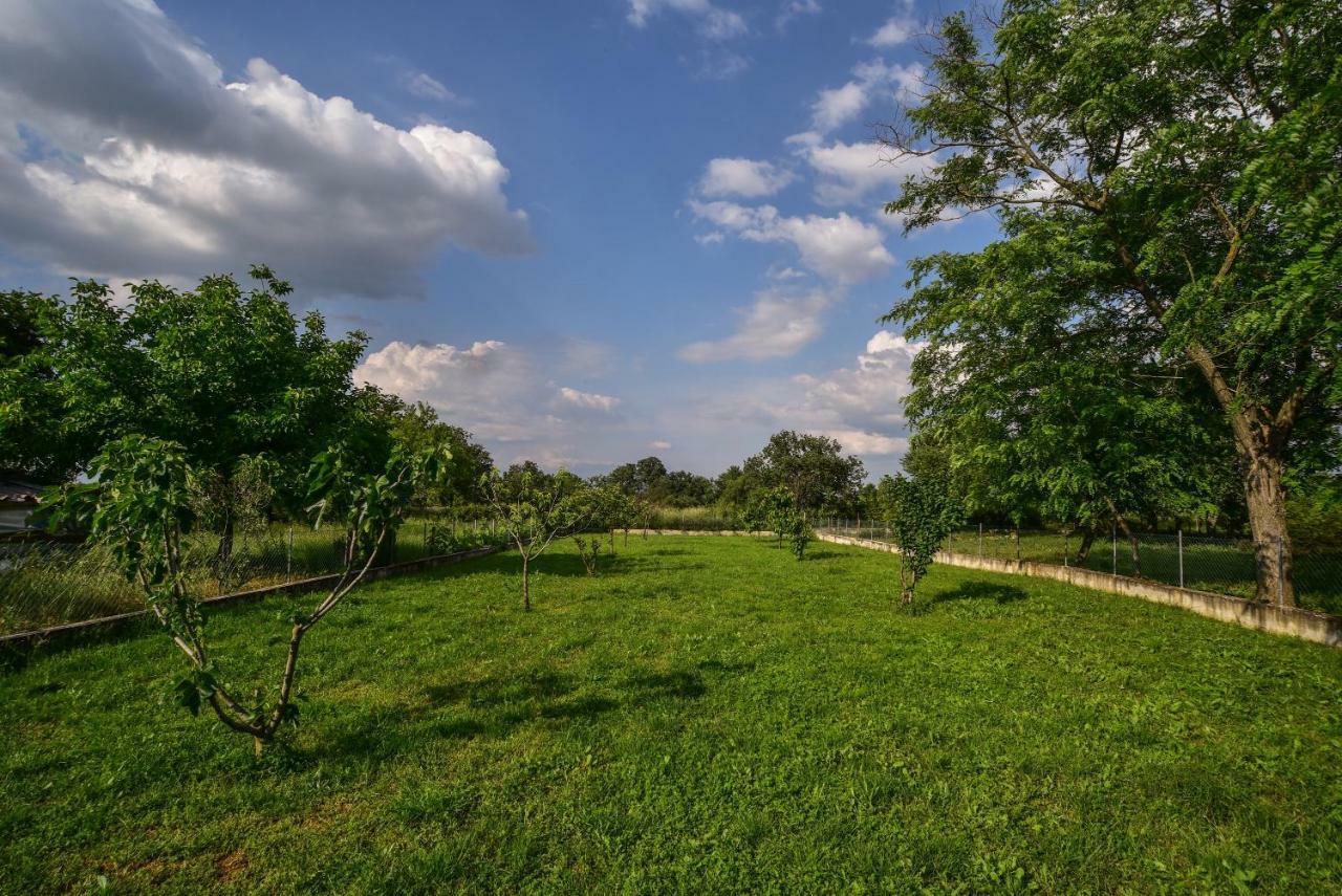 Villa Ankin Dvor Galovac  Exterior foto